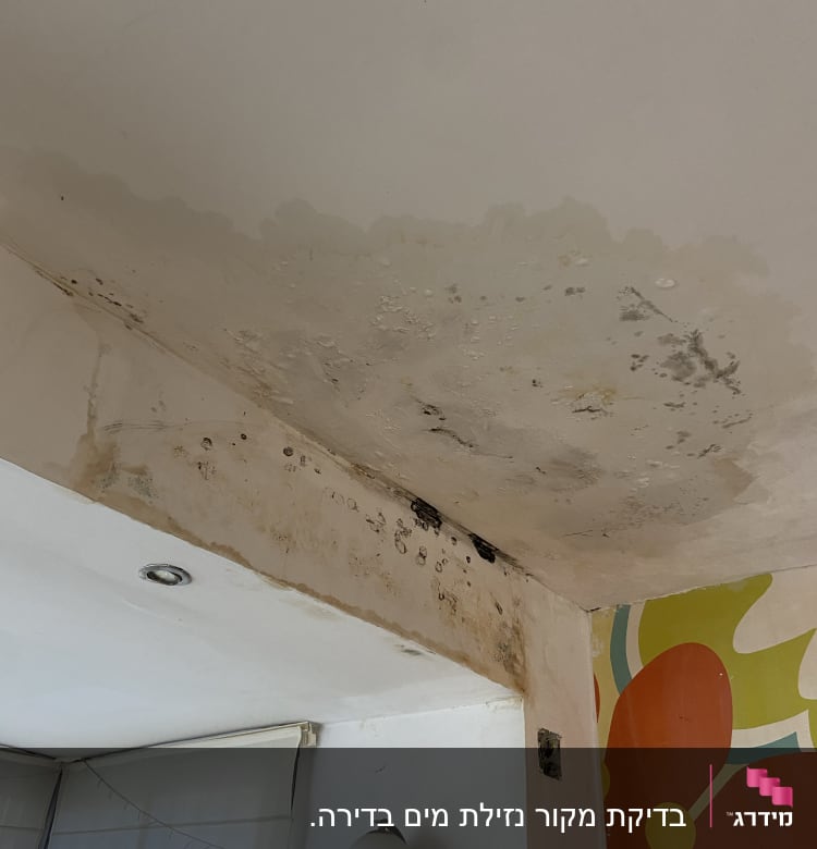 תקרה עם סימני רטיבות ועובש